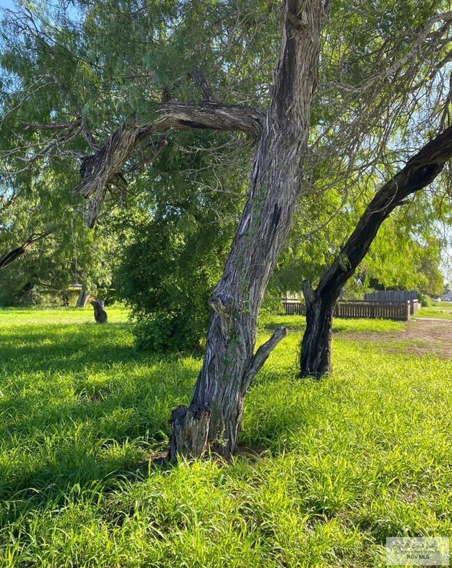 0 McDavitt Blvd unit 29768178, Brownsville, TX 78521 - photo 2