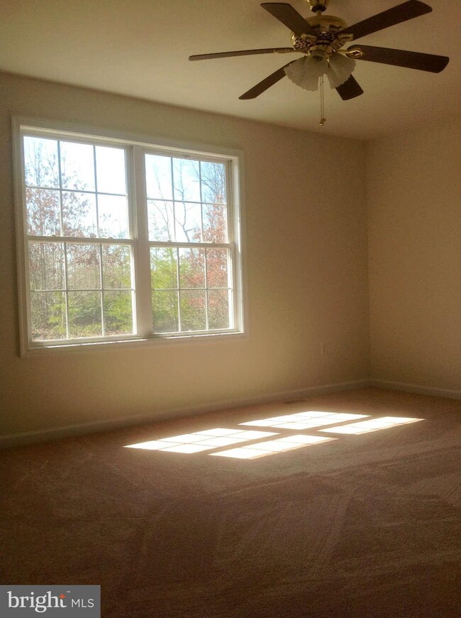 15138 McBryant Rd, Ruther Glen, VA 22546 - photo 3