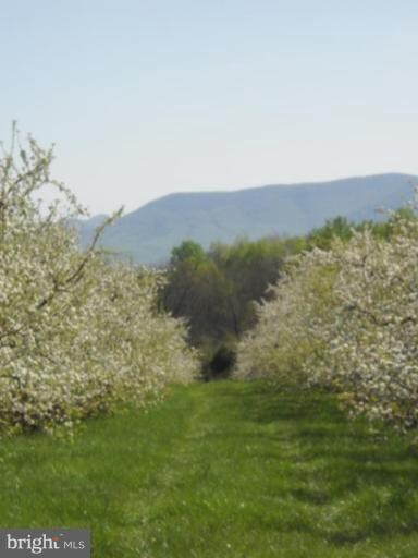 0 Buffalo Marsh Rd unit 1004780466, Middletown, VA 22645 - photo 2