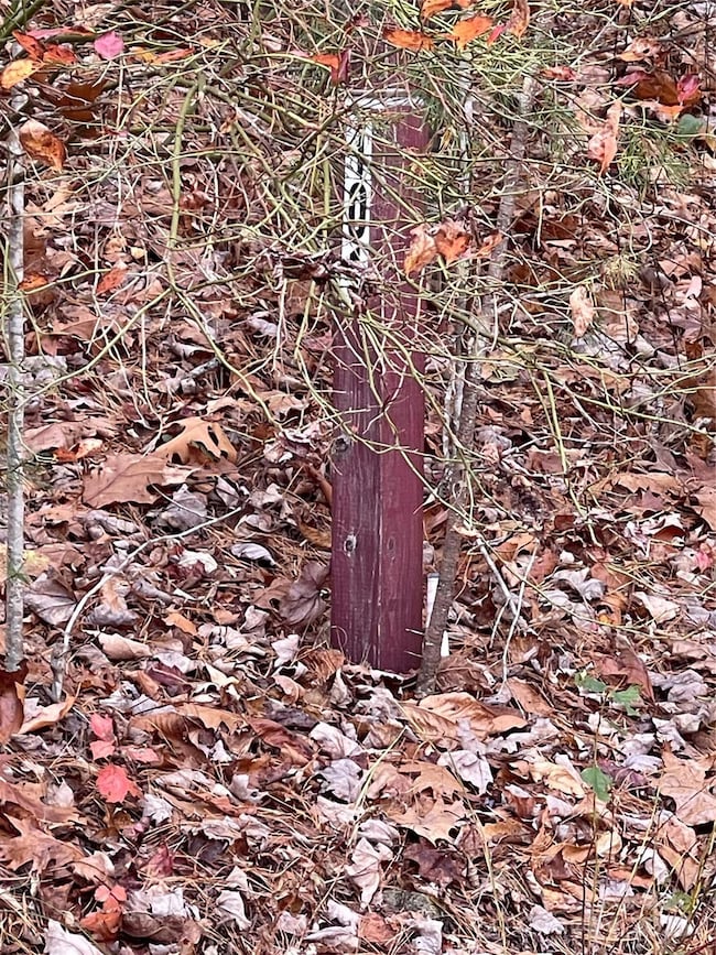 00 Pinnacle Falls Ln, Zirconia, NC 28790 - photo 3