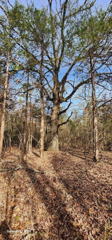 Wooded land
