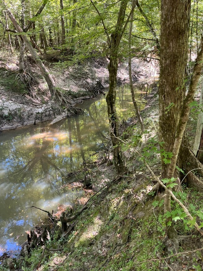 TBD Fm 1745 N, Colmesneil, TX 75938 - photo 7