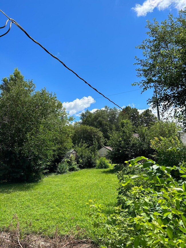 back yard