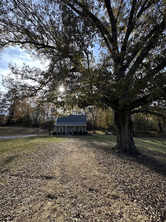 248 Cr 376, Water Valley, MS 38965 - photo 4