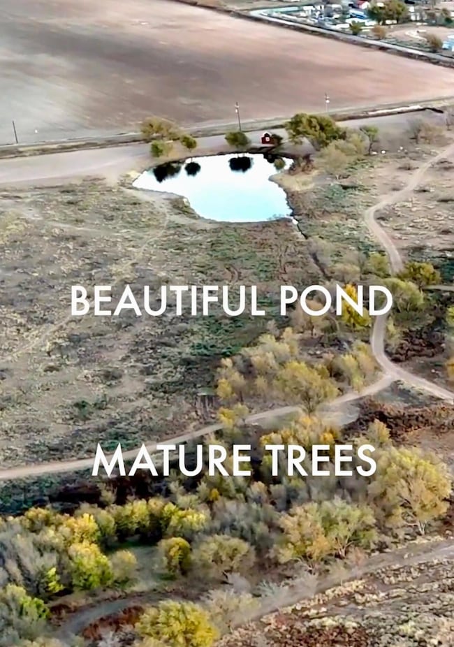 7913 County Road 6050, Shallowater, TX 79363 - photo 6