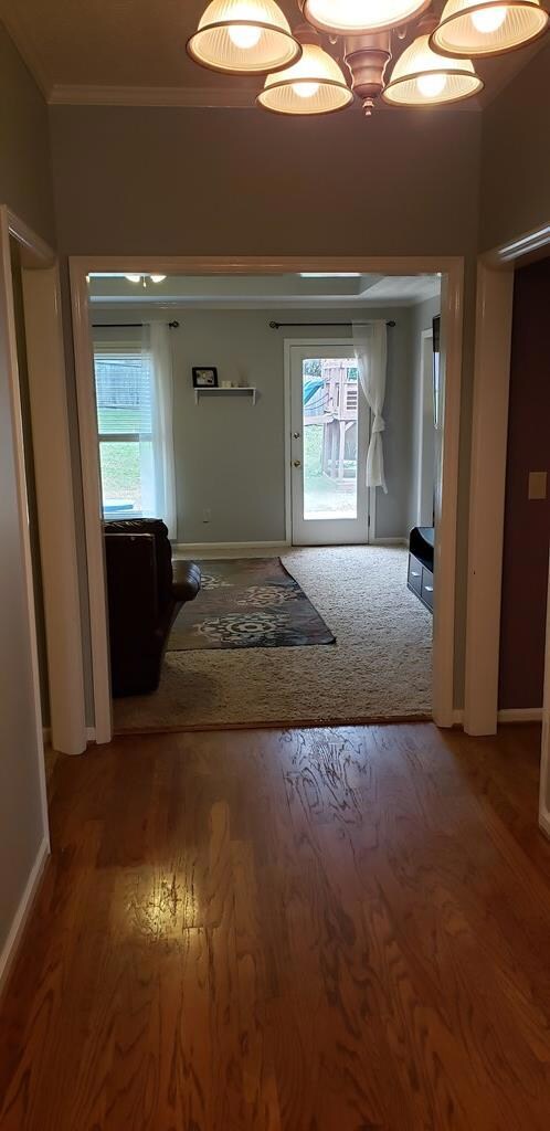 Foyer looking into living room
