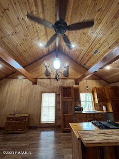 Ceiling View
