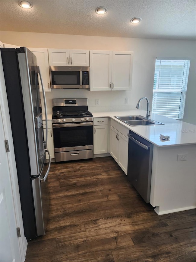 unlisted-address, Sumterville, FL 33585 - photo 4