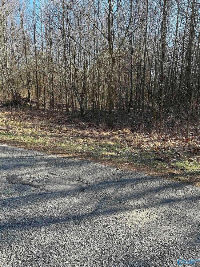 1 acre Willis Rd, Union Grove, AL 35175 - photo 2