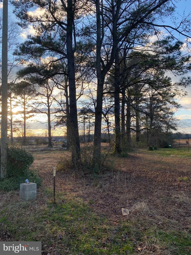 4343 Cattail Branch Rd, Harrington, DE 19952 - photo 5