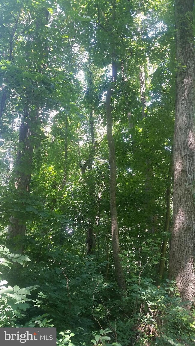 12D D Fire Trail Rd, Linden, VA 22642 - photo 5