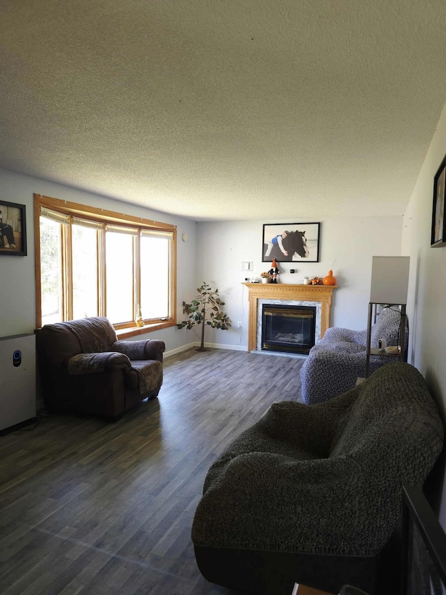 13919 State Highway 32 SE, Red Lake Falls, MN 56750 - photo 2