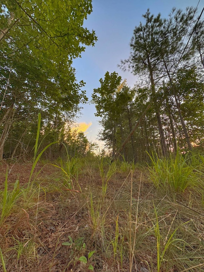 0 unit 11550309, Guin, AL 35563 - photo 7