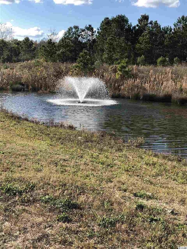 334 Harbour View Dr unit Lot 7 Boardwalk on t, Myrtle Beach, SC 29588 - photo 4