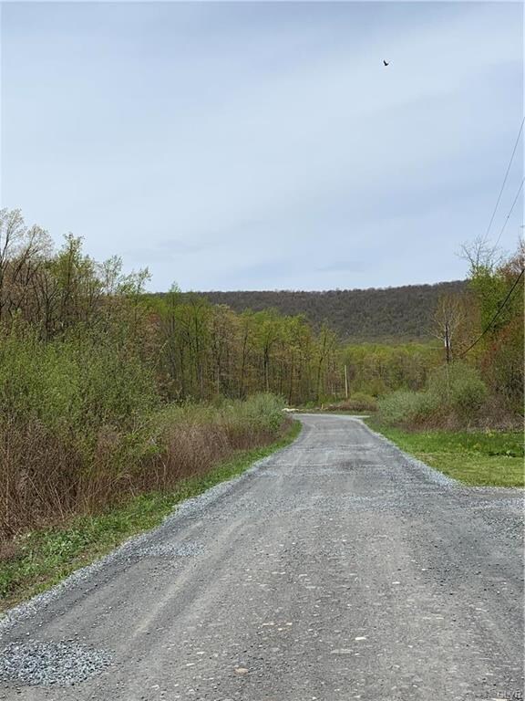 122 Bruce Ln, Wind Gap, PA 18091 - photo 2