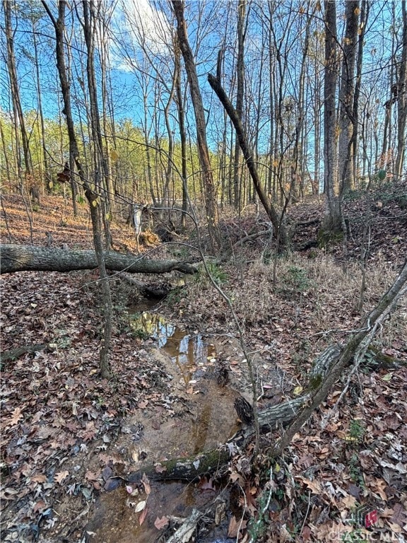 000 Lower River Rd, Covington, GA 30016 - photo 3