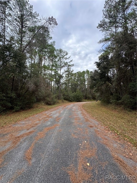 8107 N Floyd Point, Dunnellon, FL 34434 - photo 4