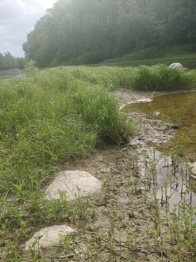 Parcel C+D Caine Rd, Tuscola, MI 48768 - photo 5