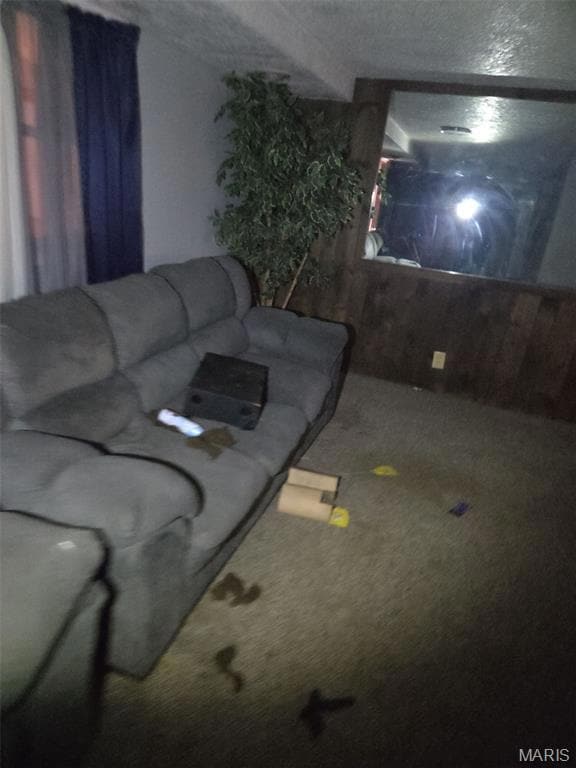 3217 Geitz Ave, East Saint Louis, IL 62205 - photo 3