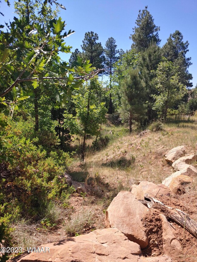 0709231010_HDR