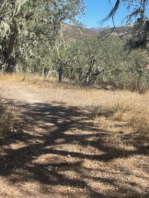 0 Cachagua unit ML82026938, Carmel Valley, CA 93924 - photo 6