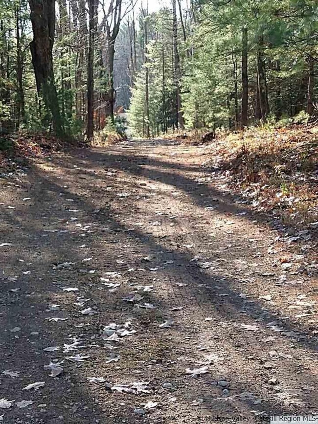 336 Upper Cherrytown Rd, Kerhonkson, NY 12446 - photo 6