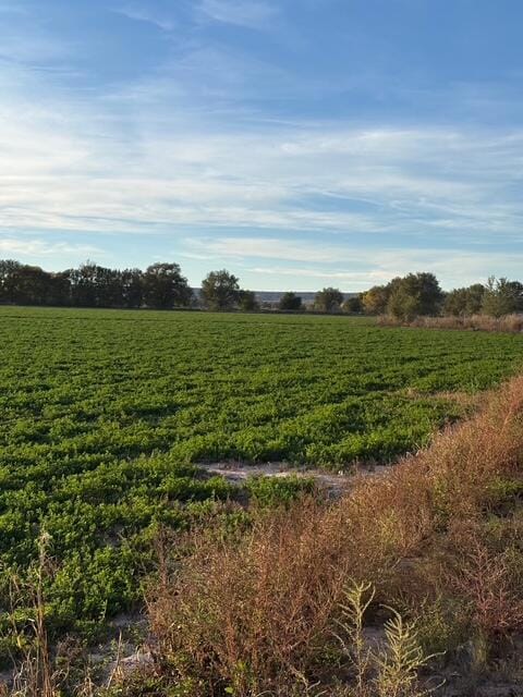 0 Florentino Rd, Veguita, NM 87062 - photo 3