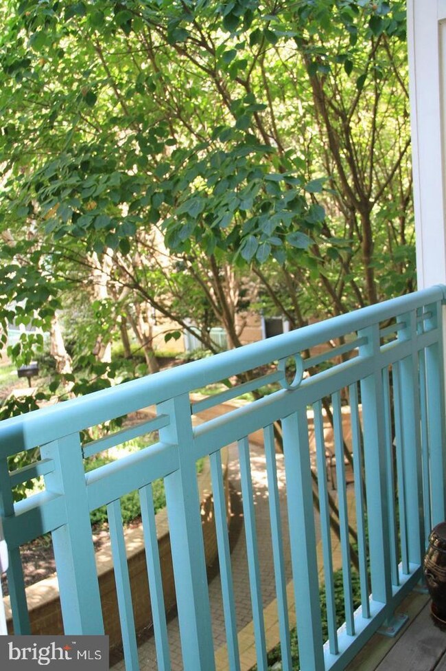 The Savoy unit 246, Reston, VA 20190 - photo 4