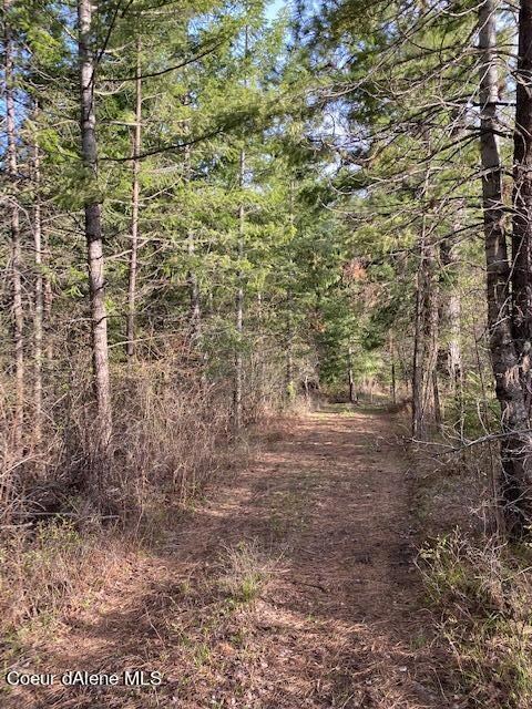 Fire Break