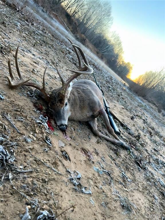 6 Cedar Hollow Rd, Fletcher, MO 63030 - photo 2