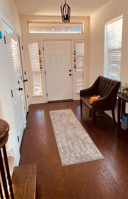 Entrance foyer with dark wood-type flooring
