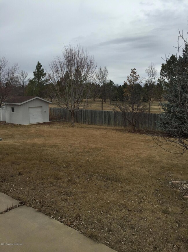 Back yard- Shed