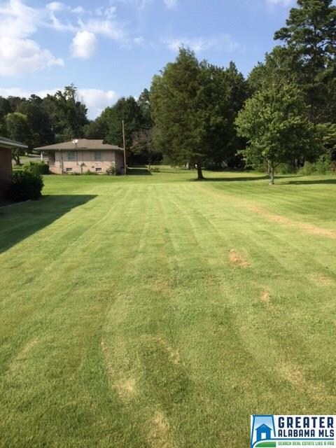 Extra lot goes to Cedar tree facing house to left side.