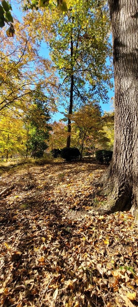 0 Gilliam Dr unit 96, Farmville, VA 23901 - photo 5