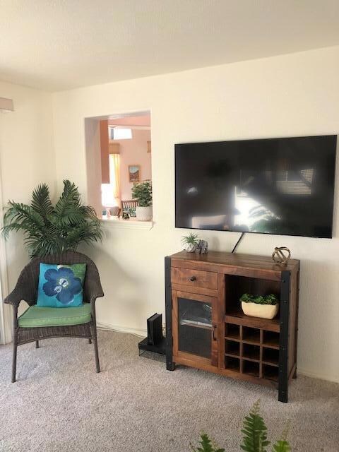 Wall TV Screen