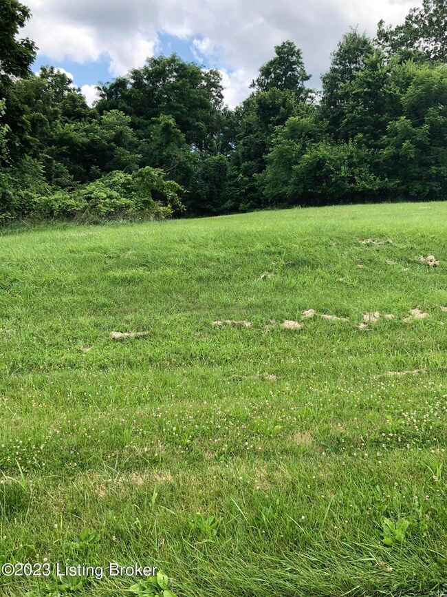 7-12 Monroe Ln, Campbellsburg, KY 40011 - photo 5