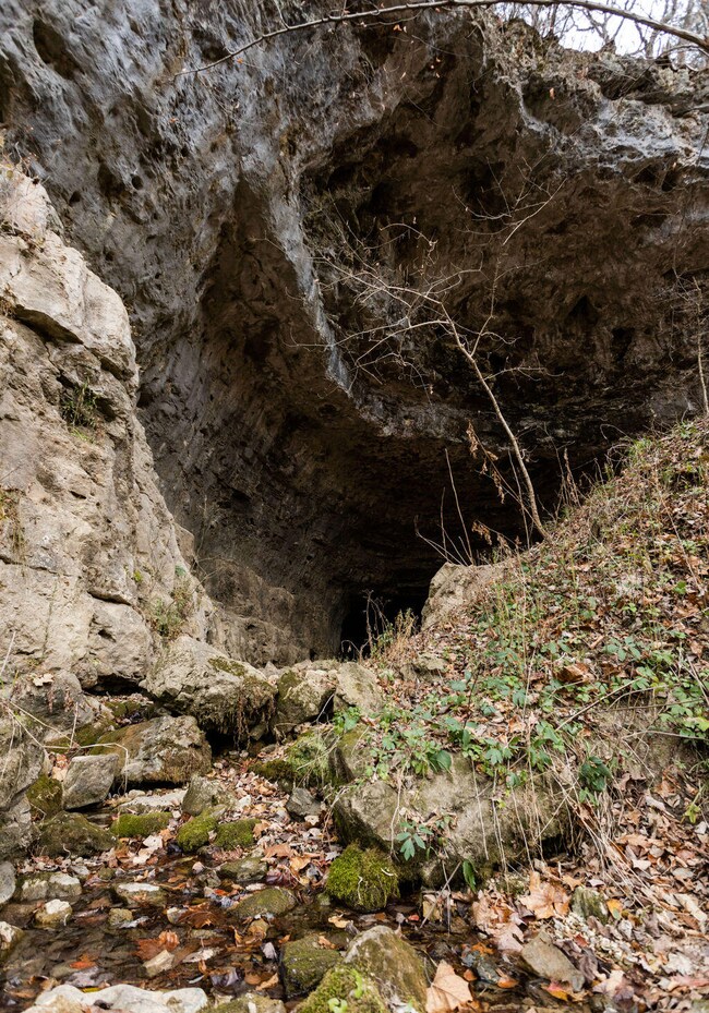 Pulaski55(FULLRES)-7