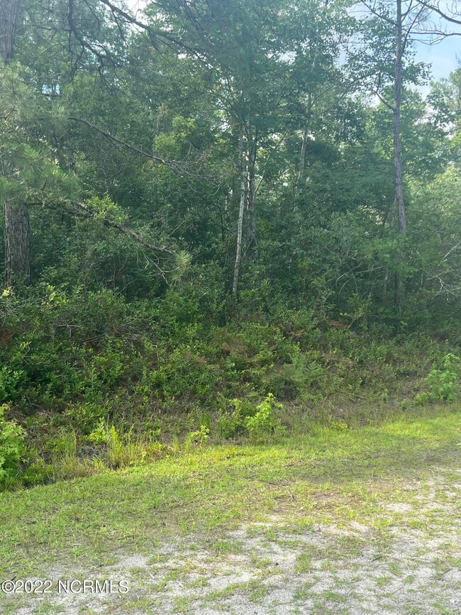 421 W South Shore, Boiling Spring Lakes, NC 28461 - photo 3