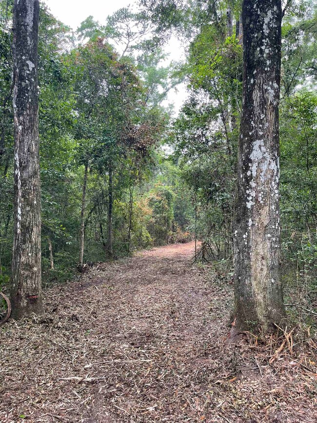 0 Palomino Rd, Crawfordville, FL 32327 - photo 5