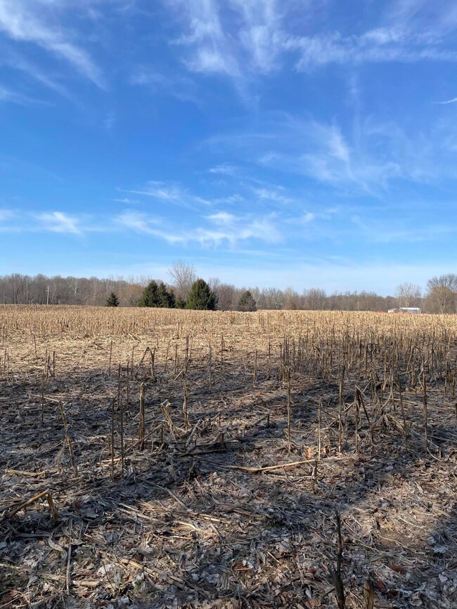 0 48th Ave unit 25050708, Lawrence, MI 49064 - photo 7