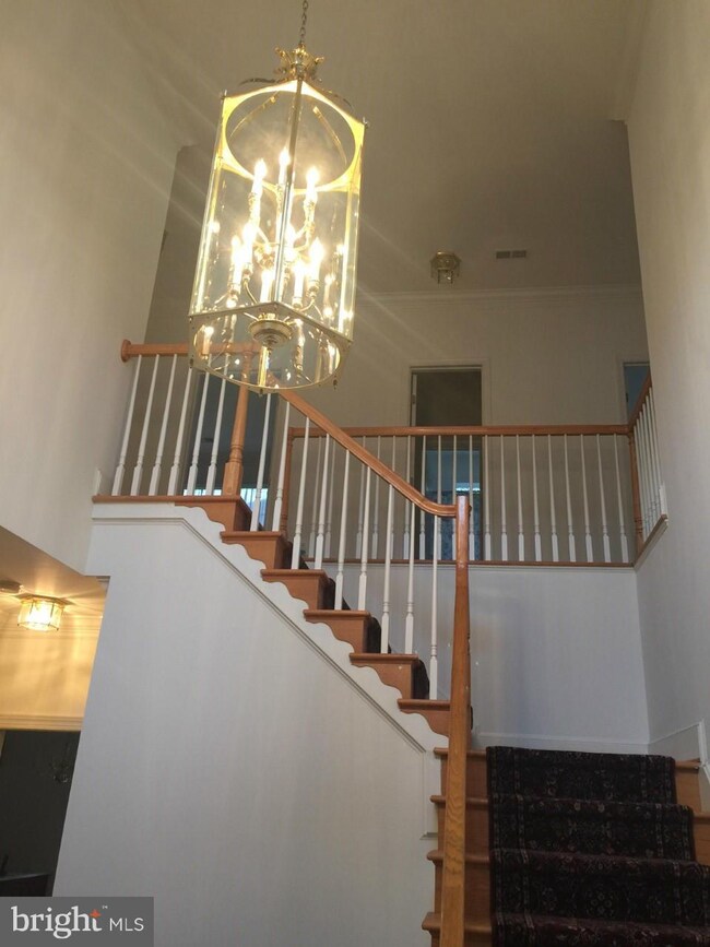 6673 Avignon Blvd, Falls Church, VA 22043 - photo 3