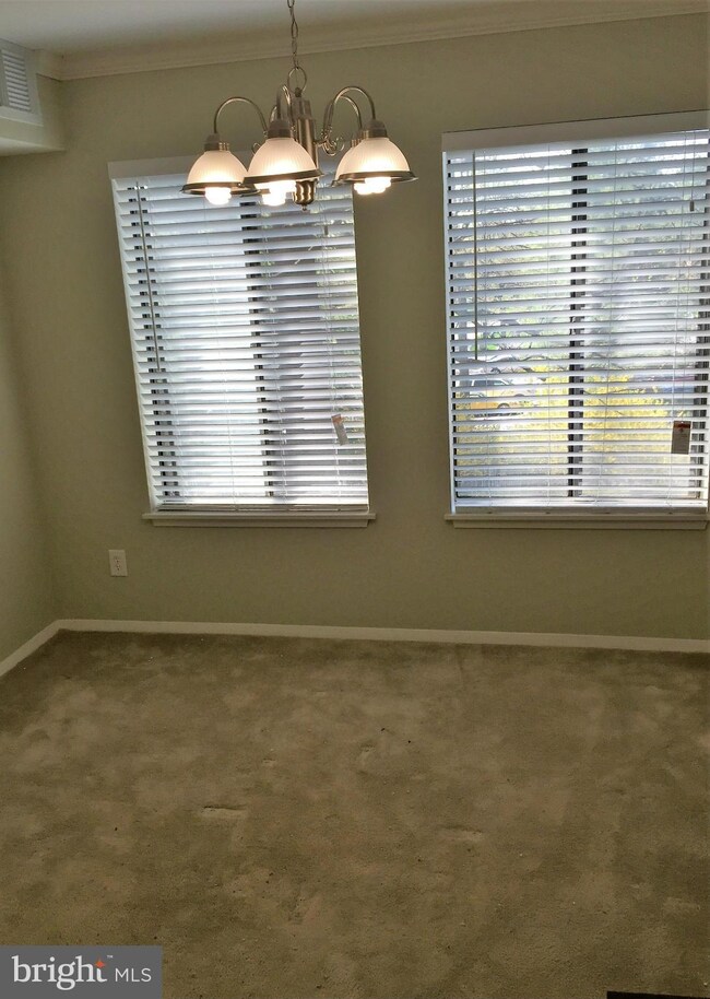 11301 Commonwealth Dr unit 102, Rockville, MD 20852 - photo 6