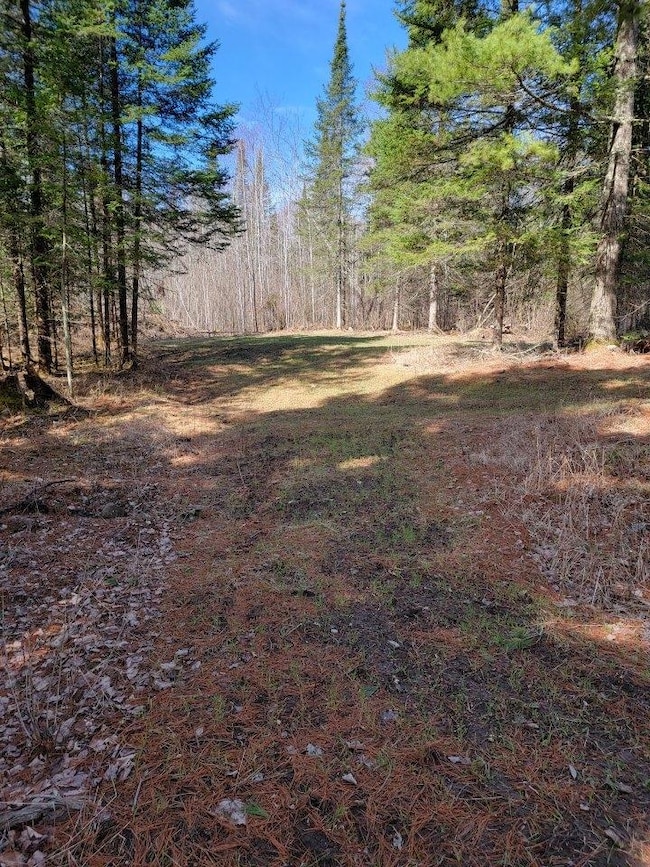 ON Luds Ln, Loretta, WI 54896 - photo 6