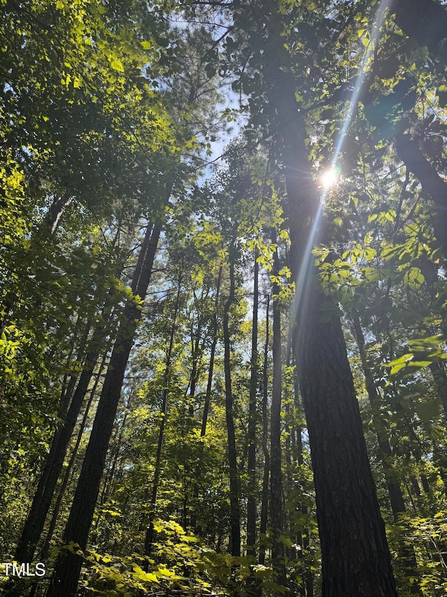 120 Anfield Rd, New Hill, NC 27562 - photo 4