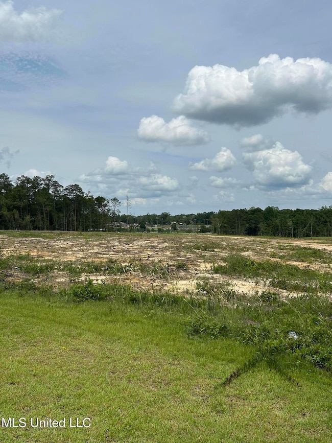 Cleared Land