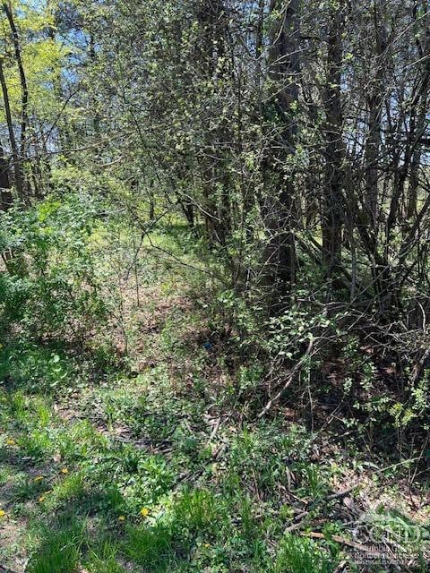 4 Catskill Ct, Coxsackie, NY 12015 - photo 2