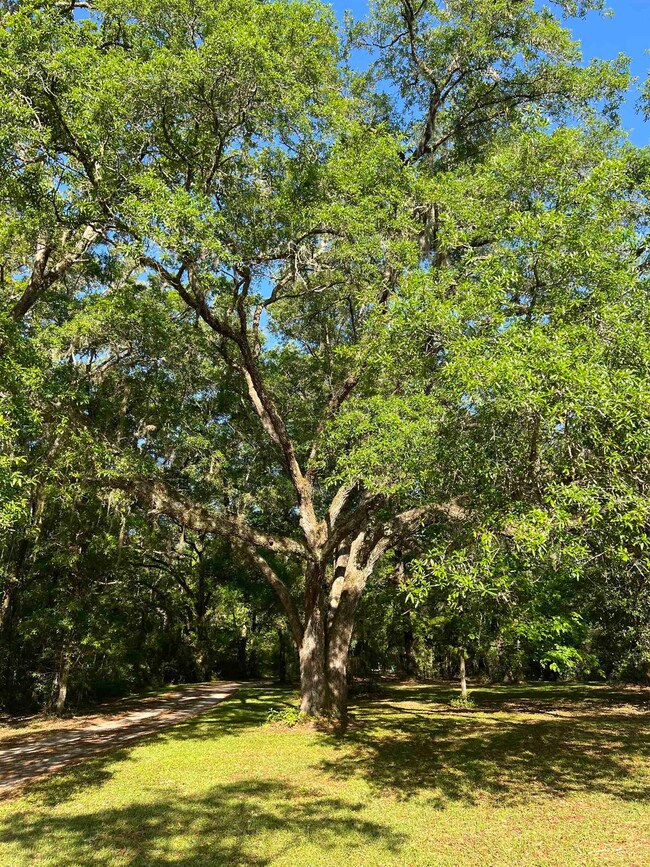 62 Hideaway Ln, Crawfordville, FL 32327 - photo 6