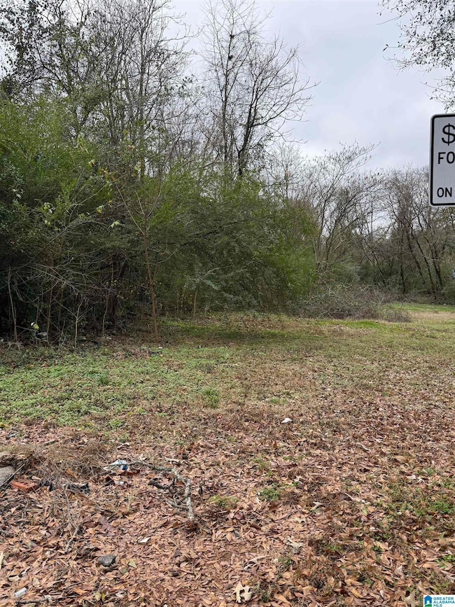 201 Nail St, Birmingham, AL 35228 - photo 3