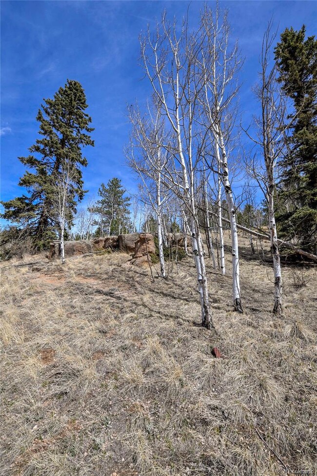 926 W Bison Creek Trail, Divide, CO 80814 - photo 5