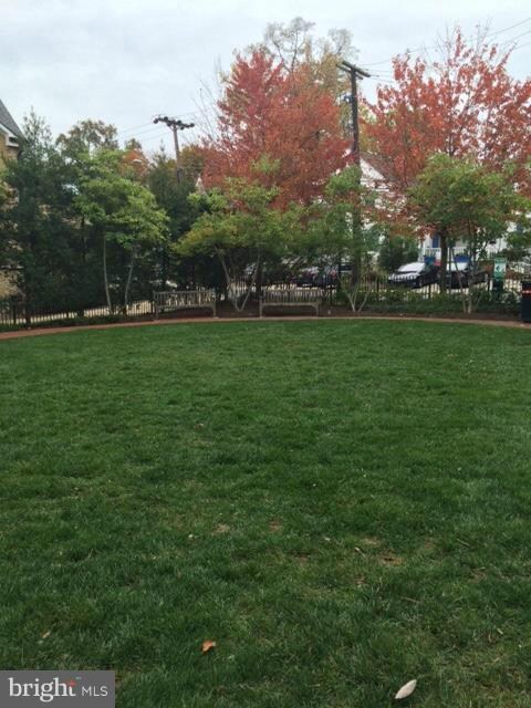 4720 Chestnut St, Bethesda, MD 20814 - photo 5